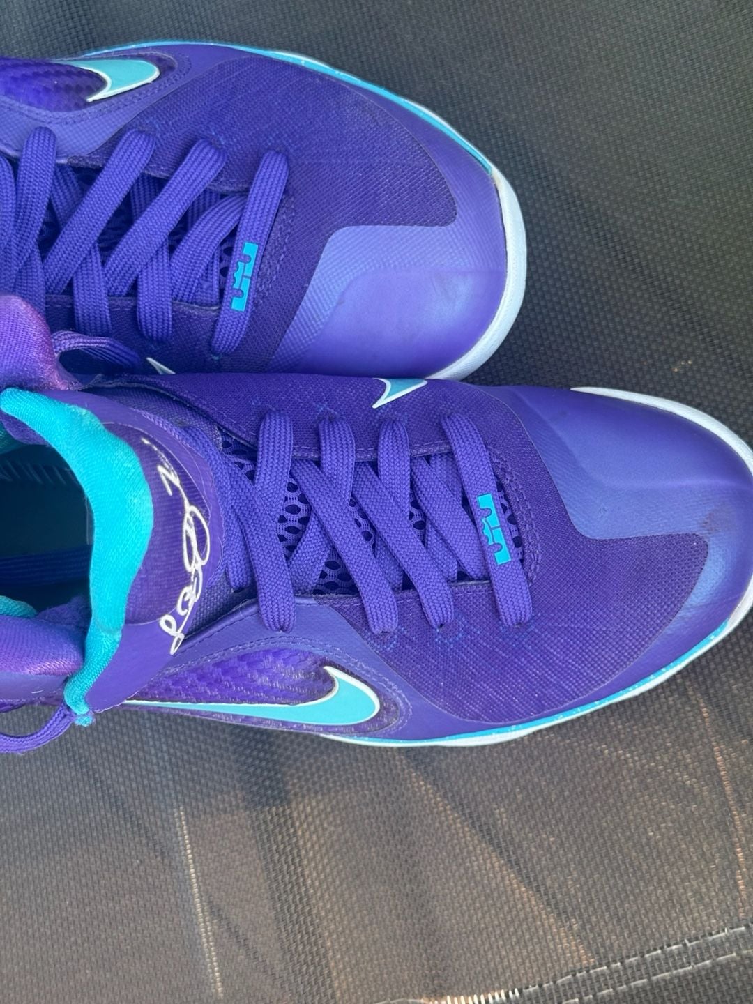 Nike LeBron 9 Purple Blue Basketball Shoes 8