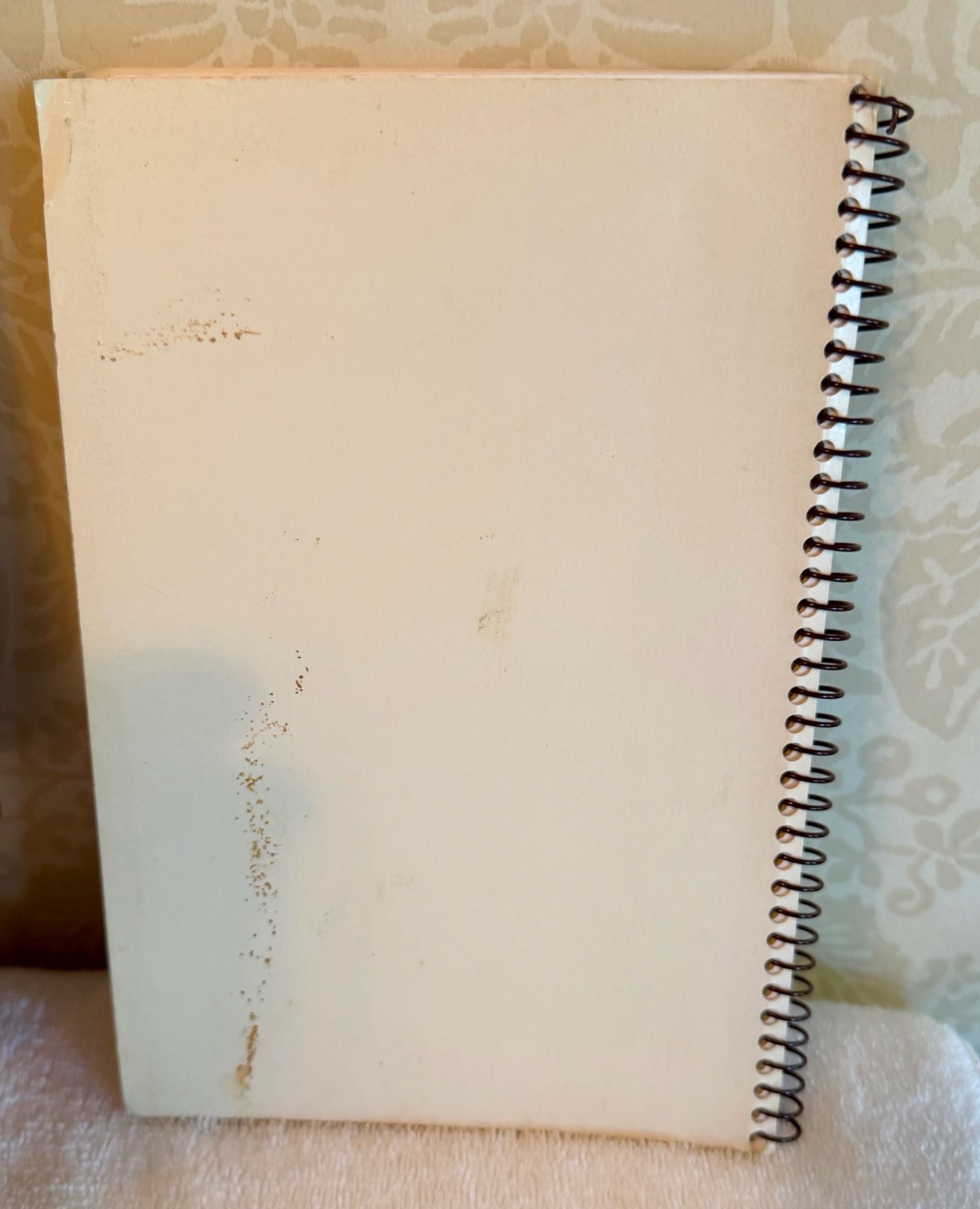 Vintage 1990 Not By Bread Alone Church Cookbook – Pensacola FL – Spiral Bound 3