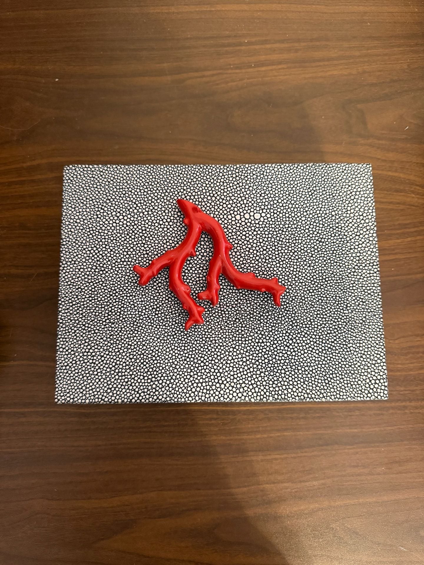 S & K Ltd Stingray Box with Coral Accent 1