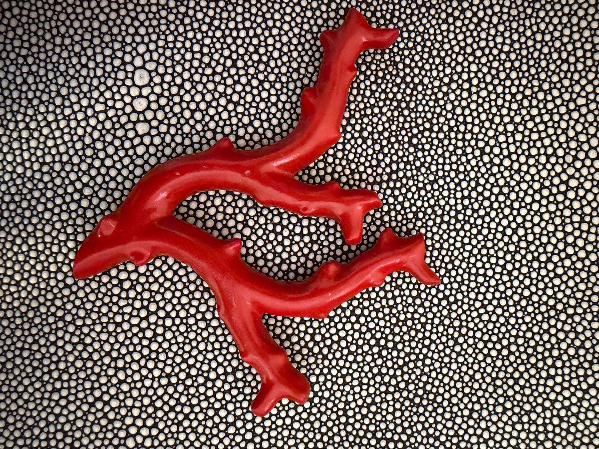 S & K Ltd Stingray Box with Coral Accent 2
