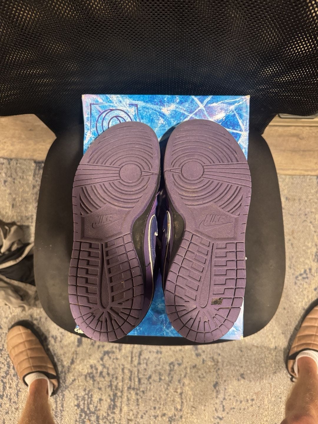 Nike Dunk Low Purple Lobster 3