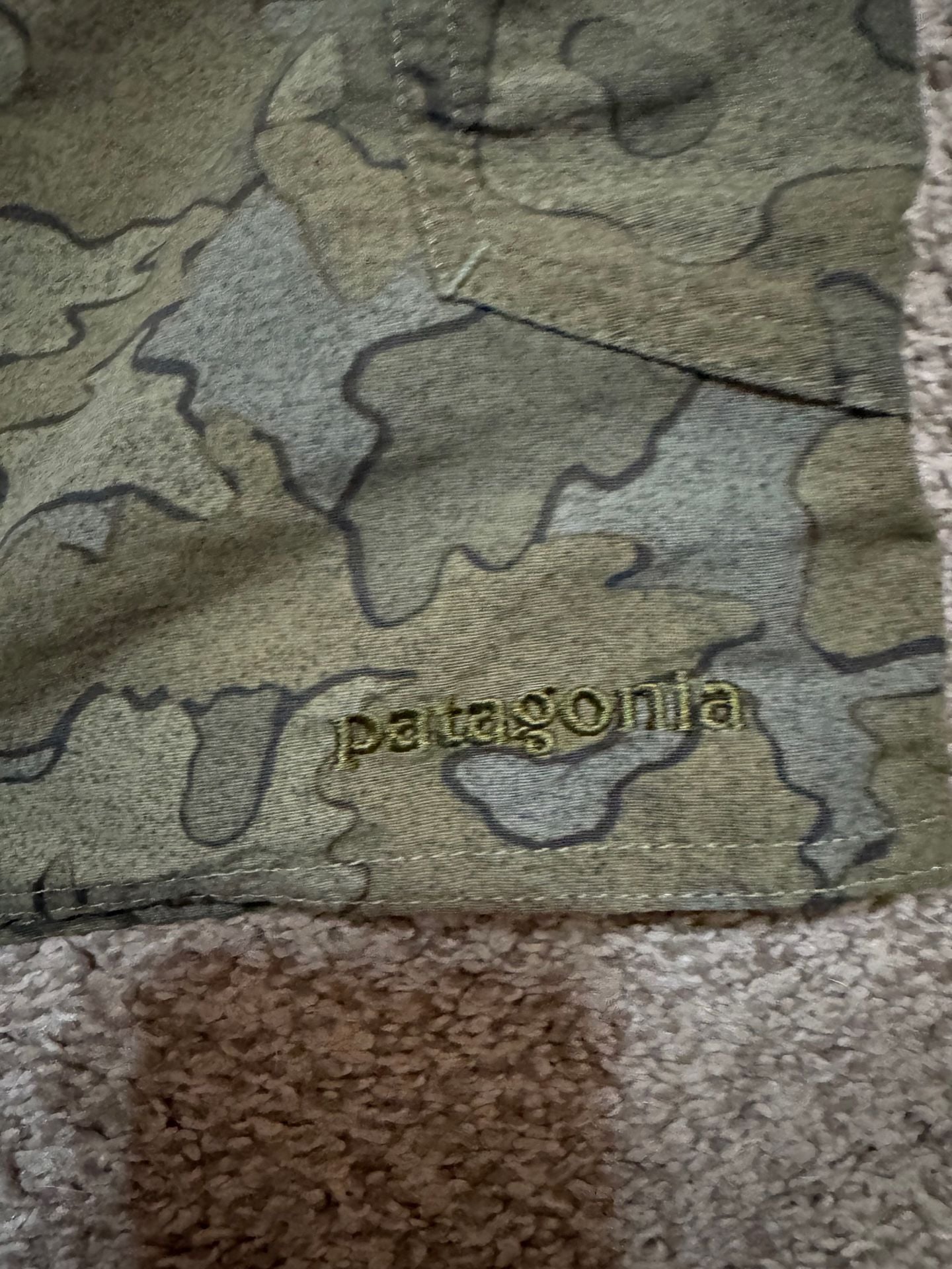 Patagonia 3
