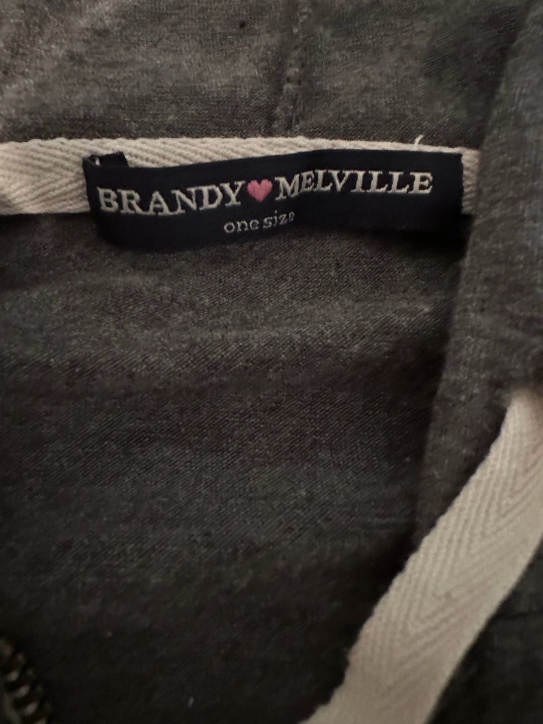 Brandy Melville Full Zip Hoodie Gray 5