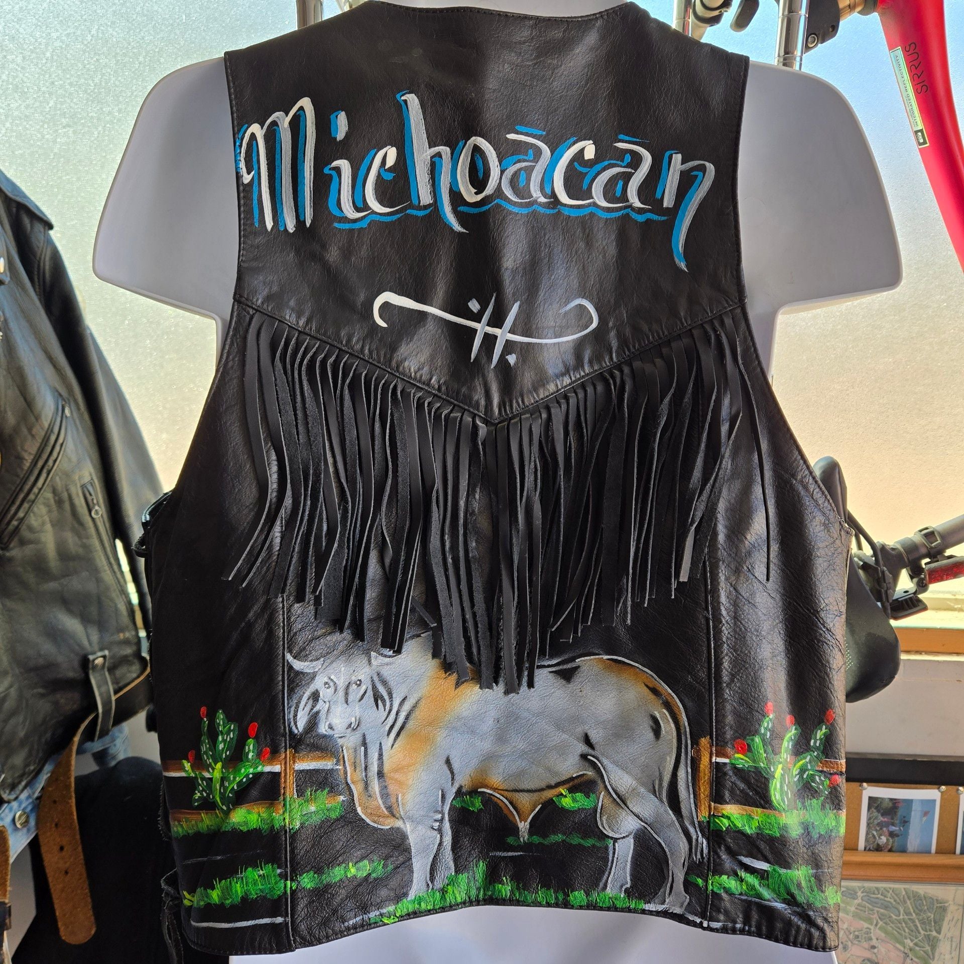 Genuine Leather Hand Painted Michoacan Bull Fringe Vest Size L 4