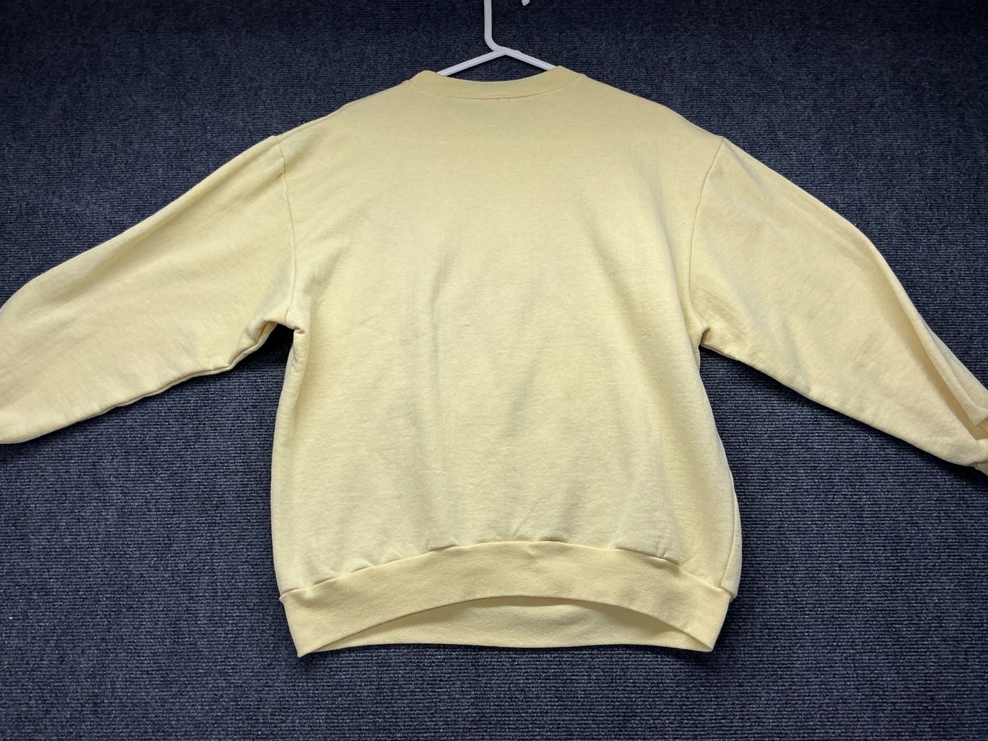 Taylor Swift Opalite “Hang in there Baby” 90’s Inspired Sweatshirt 6