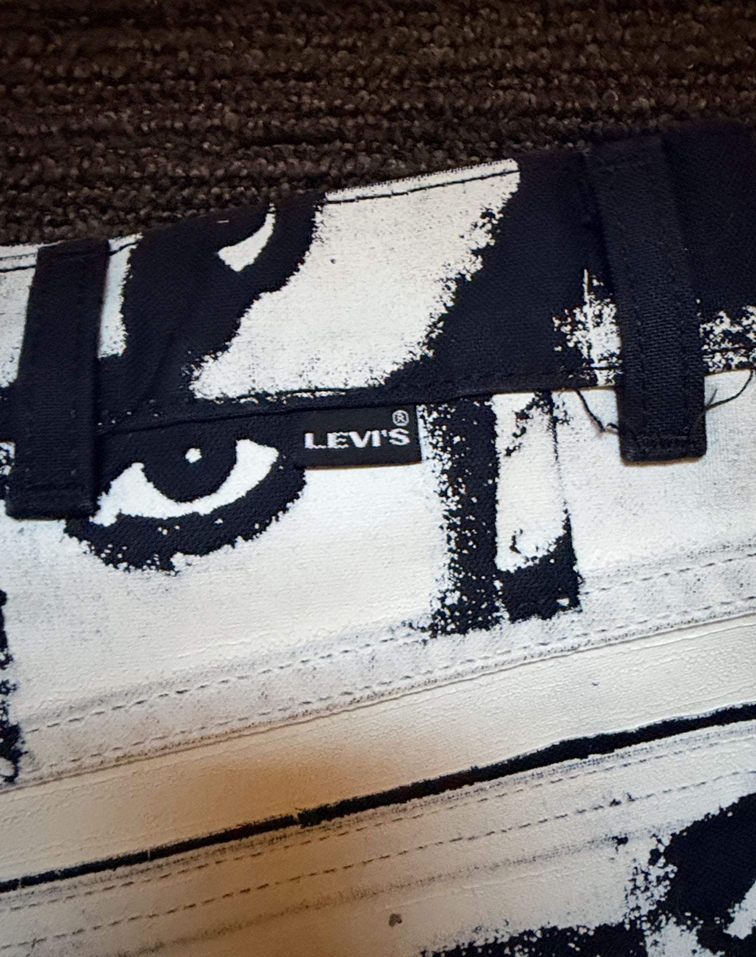Levi's Skate Eyes Cropped Carpenter Jeans 5