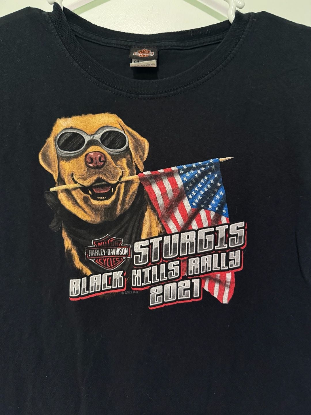 Harley Davidson Sturgis Black Hills Rally 2021 Motorcycle Graphic Tee Youth S 3