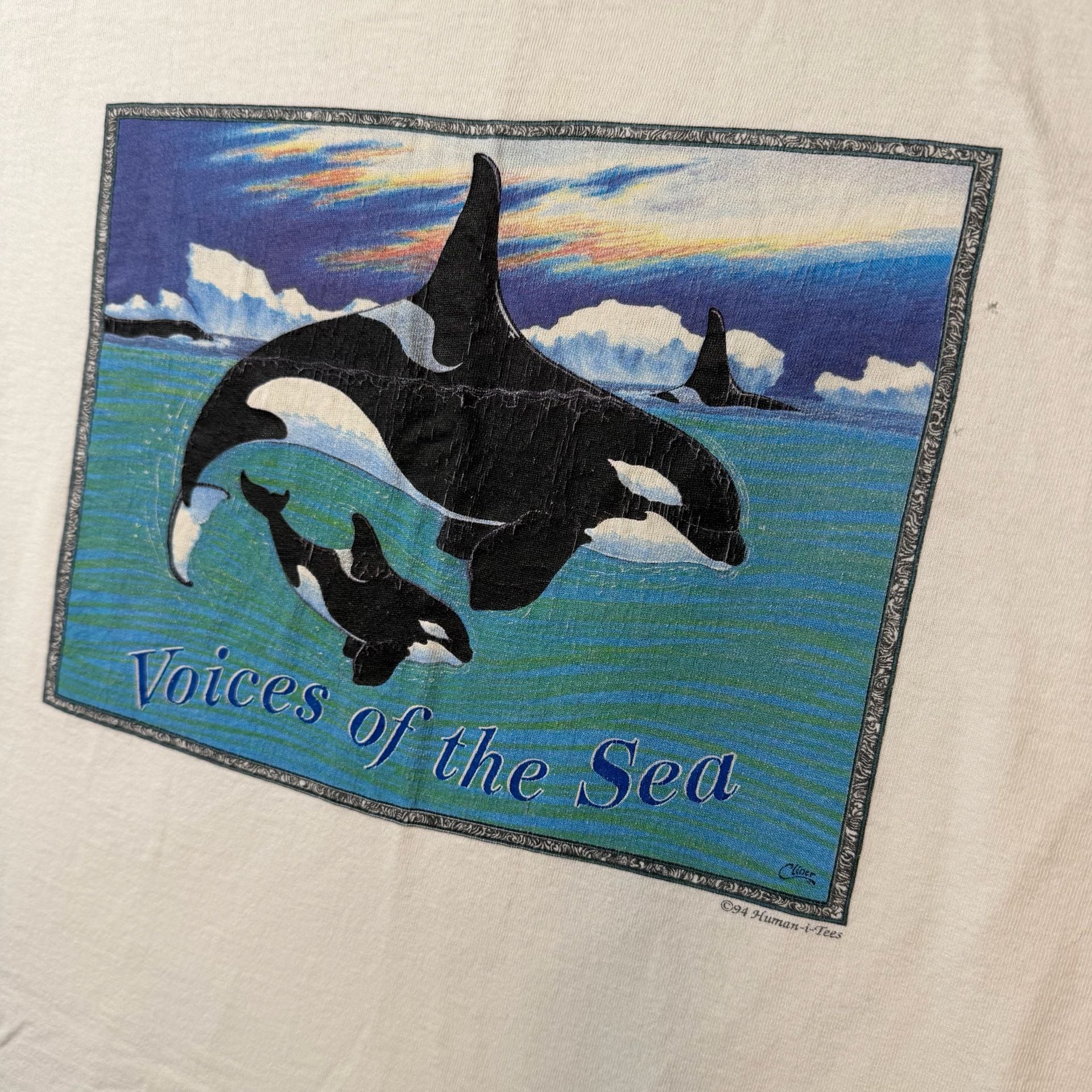 Vintage Human-i-Tees Voices of the Sea Orca Whale T-Shirt 3