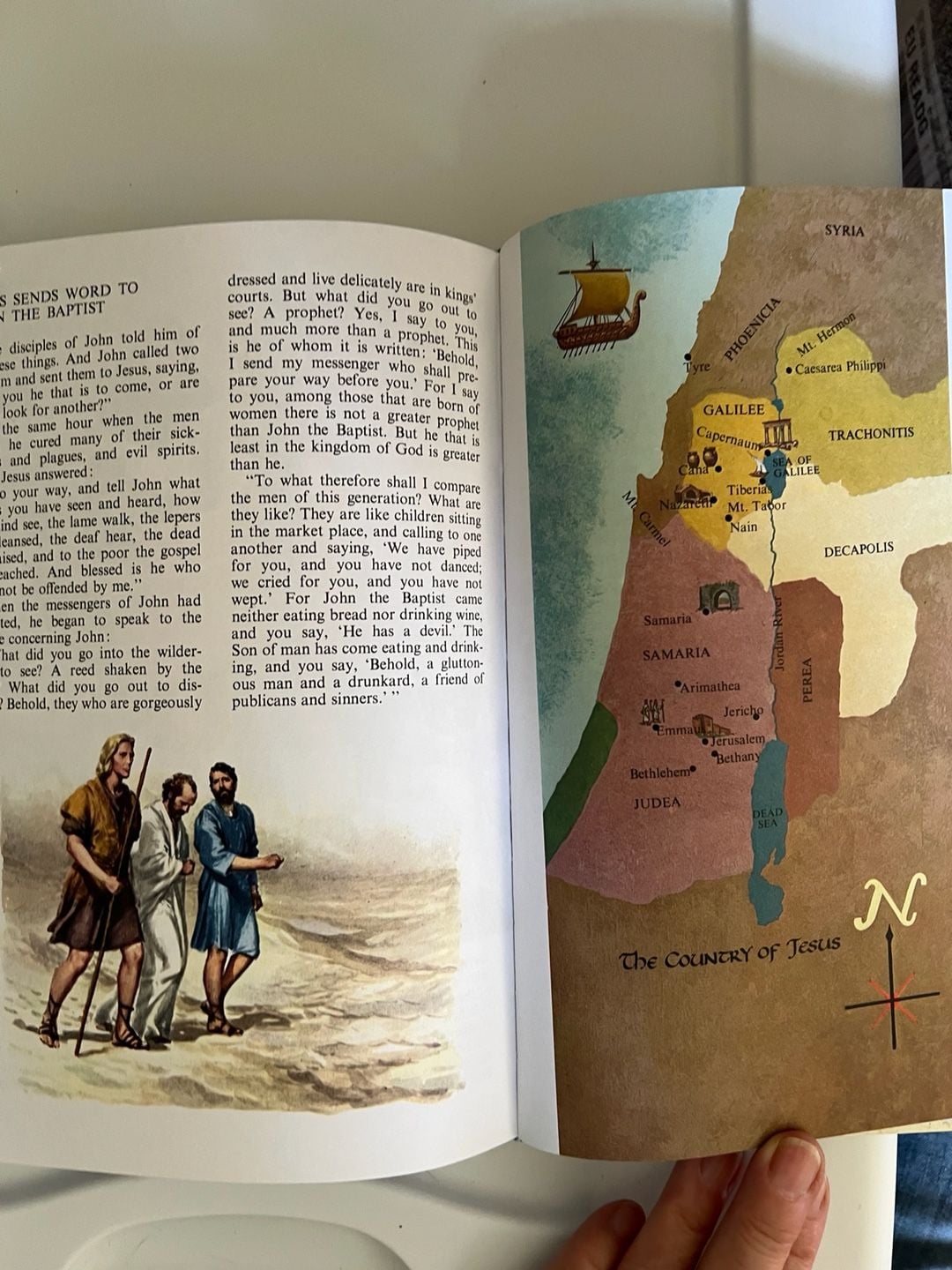 The Golden Children's Bible Hardcover Book 8