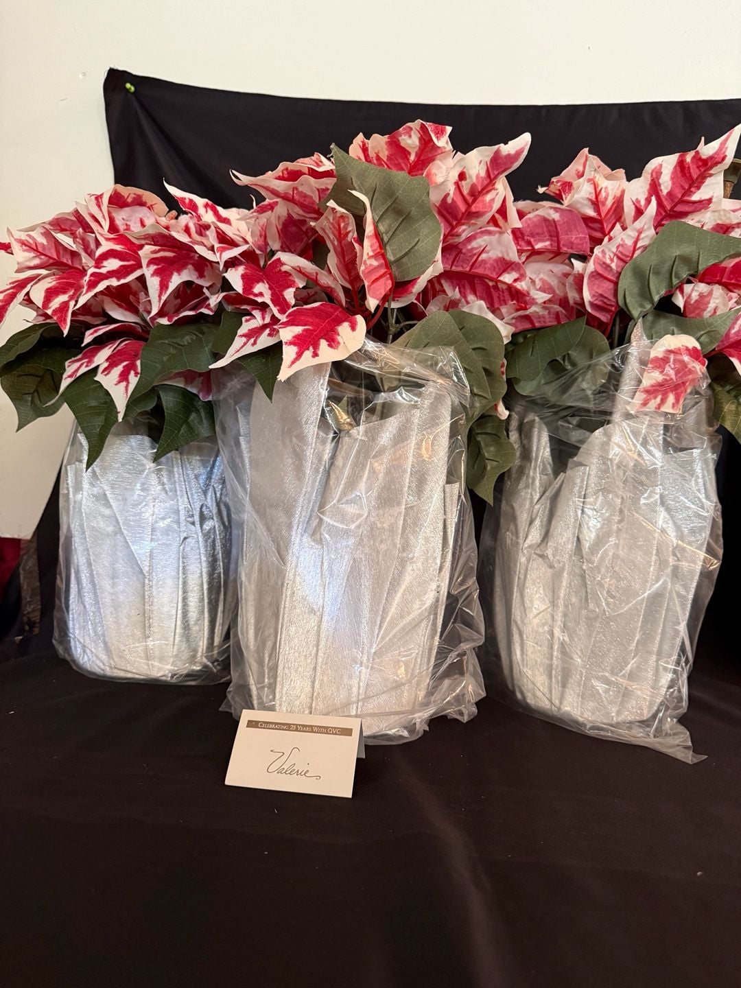 Valerie Pariser Poinsettia Plants Set of 3 Silver Foil Pots New 1