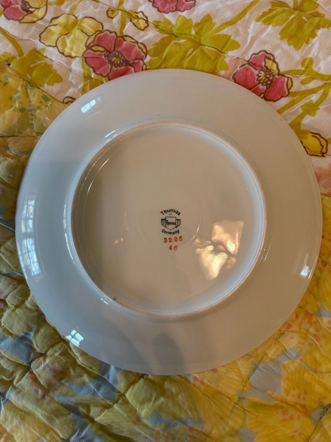 EUC Thomas Germany Porcelain Fruit Dessert Plates Set of 6 Vintage Gold Trim 9