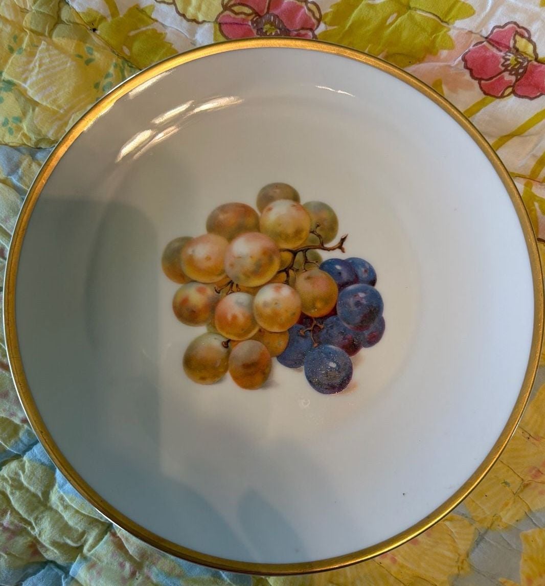 EUC Thomas Germany Porcelain Fruit Dessert Plates Set of 6 Vintage Gold Trim 8