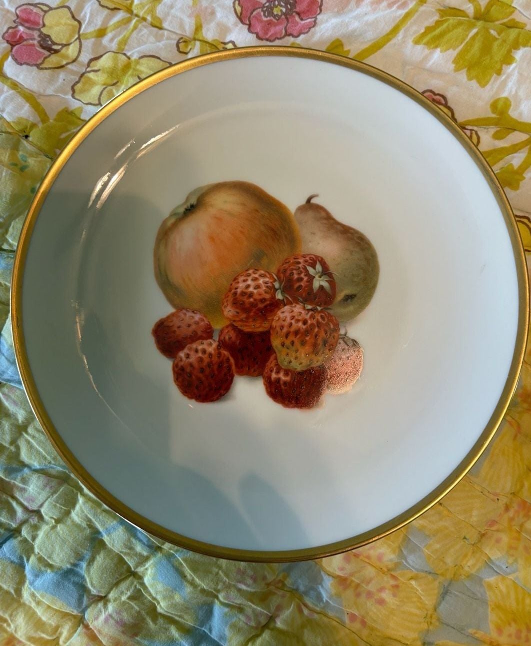 EUC Thomas Germany Porcelain Fruit Dessert Plates Set of 6 Vintage Gold Trim 16