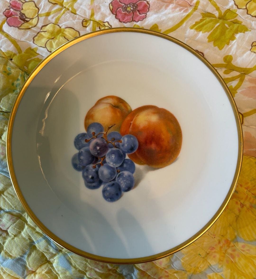 EUC Thomas Germany Porcelain Fruit Dessert Plates Set of 6 Vintage Gold Trim 14