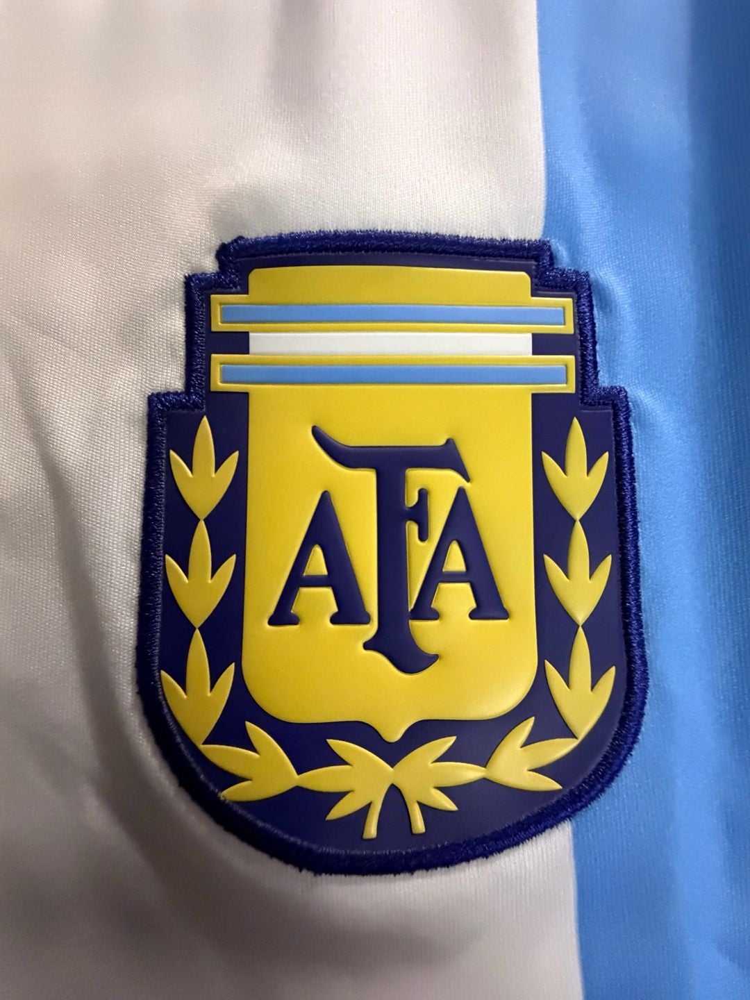 M10 Argentina Jersey Size S Blue White 4
