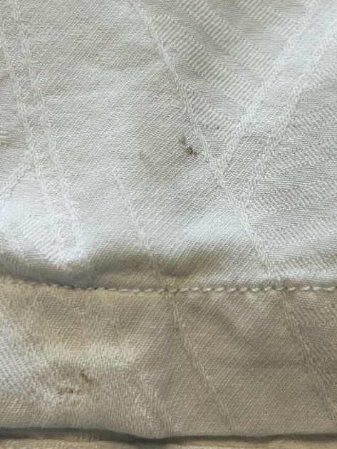 Tommy Bahama Silk Camp Shirt Beige Tropical Leaf XL 9