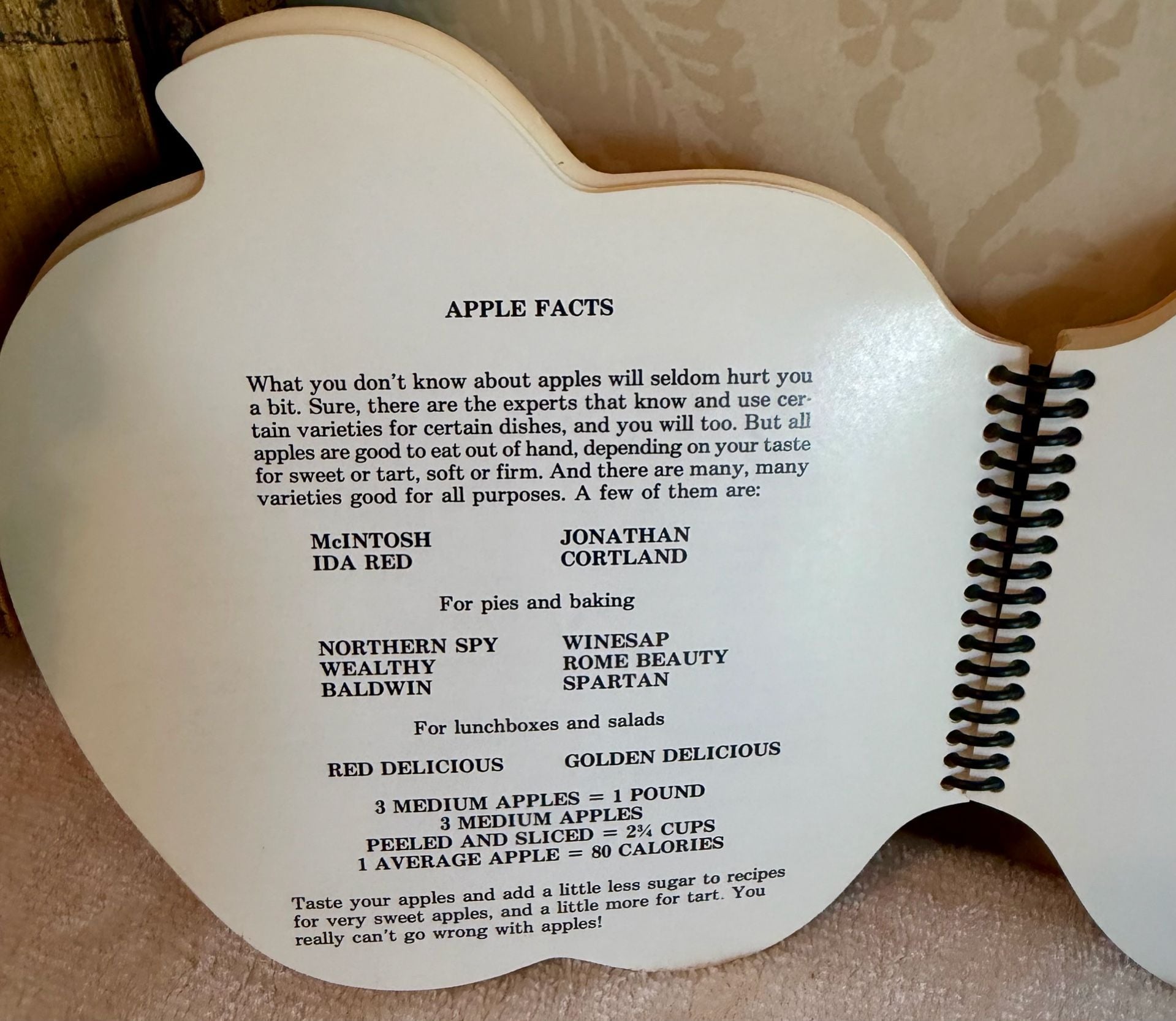 Vintage 1989 Big Fat Red Juicy Apple Cookbook – Apple Shaped Spiral - 1st 6
