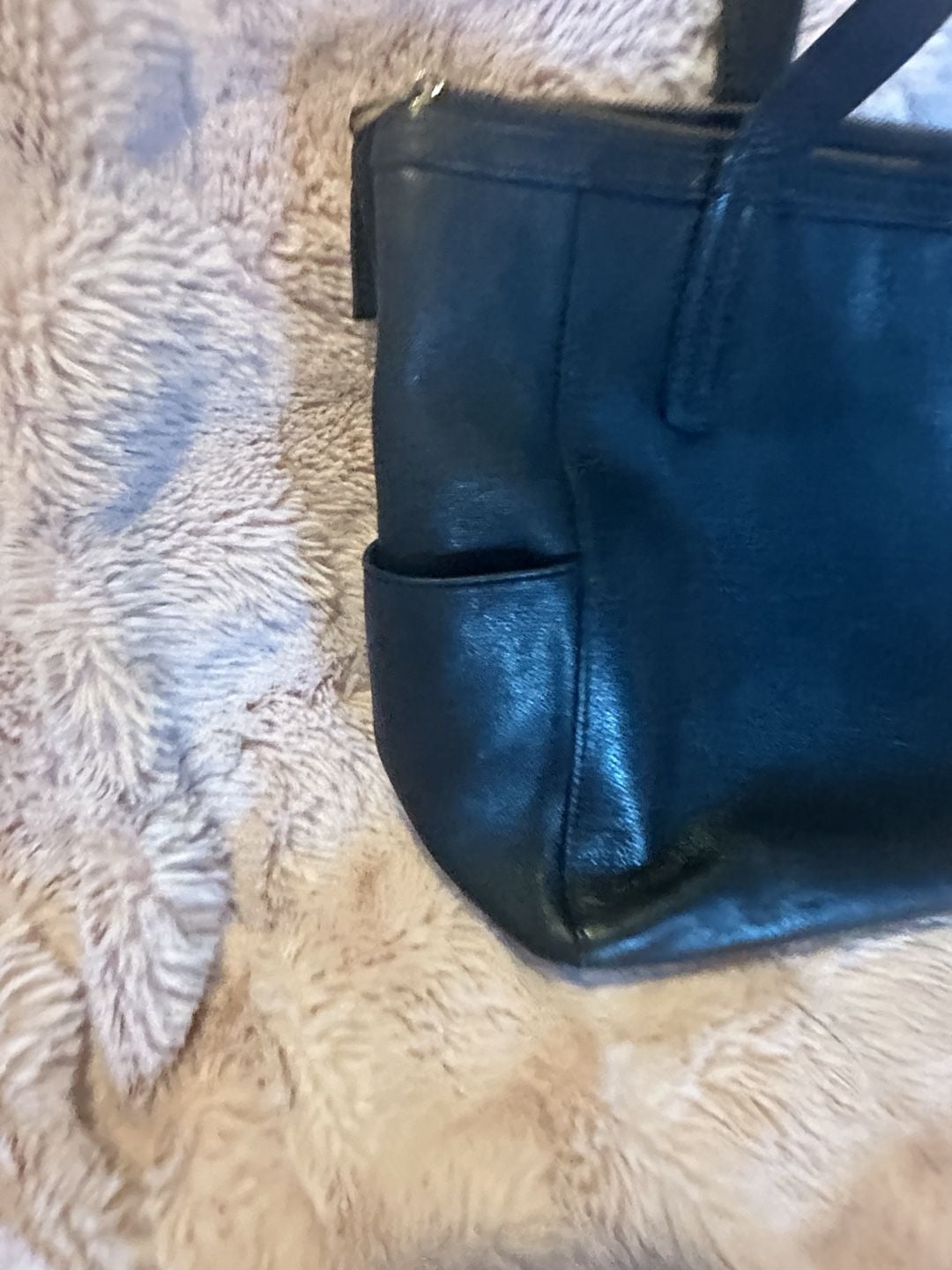 Fossil 7