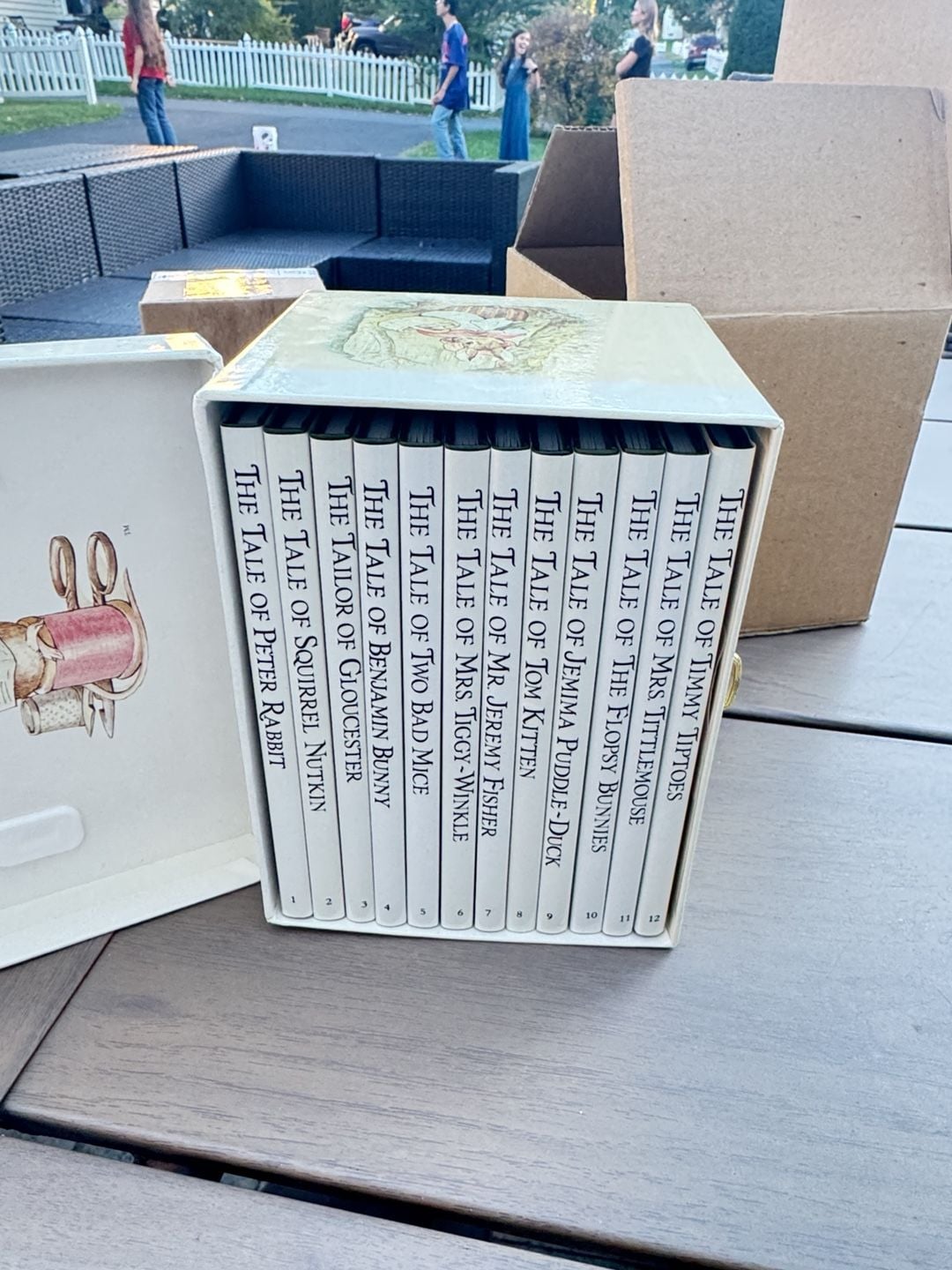 Beatrix Potter The World Of Peter Rabbit 12-Copy Presentation Box Set 2