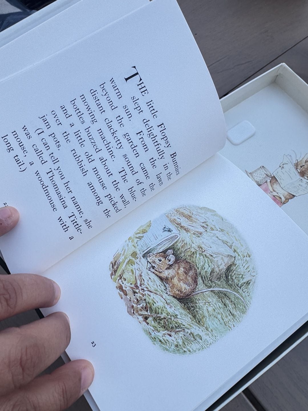 Beatrix Potter The World Of Peter Rabbit 12-Copy Presentation Box Set 7