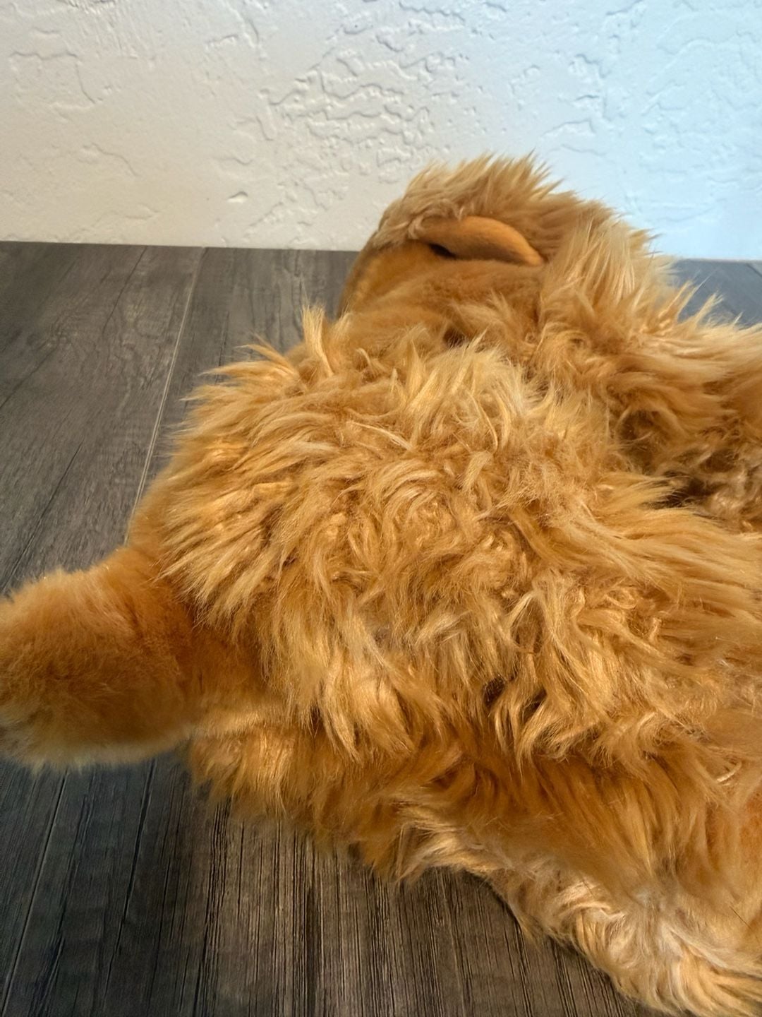 Webkinz Signature Cocker Spaniel - No Code 4