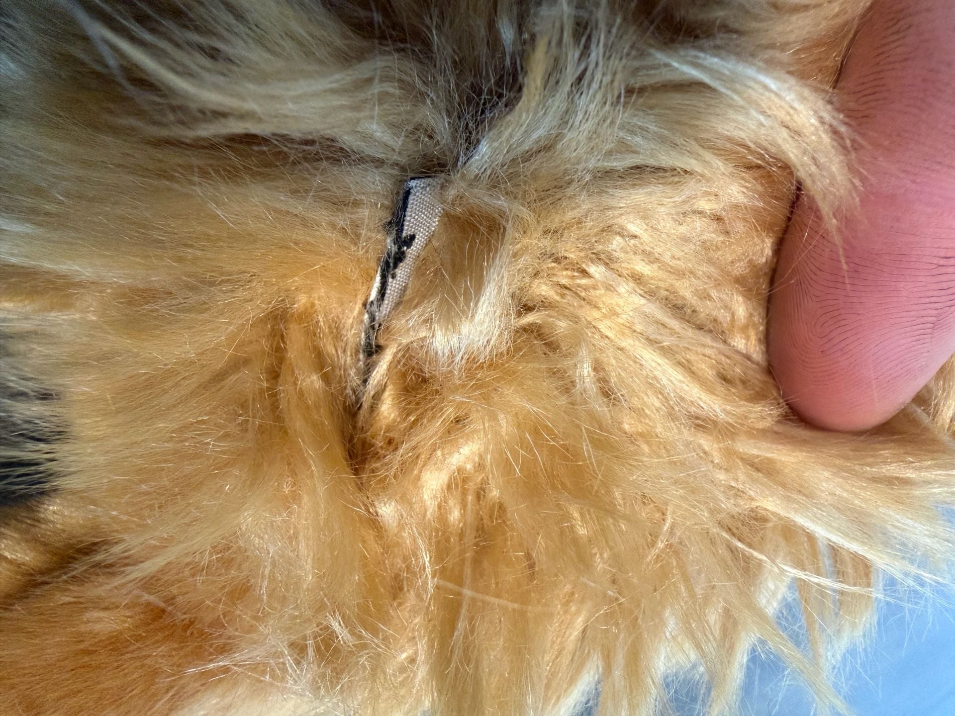 Webkinz Signature Cocker Spaniel - No Code 5