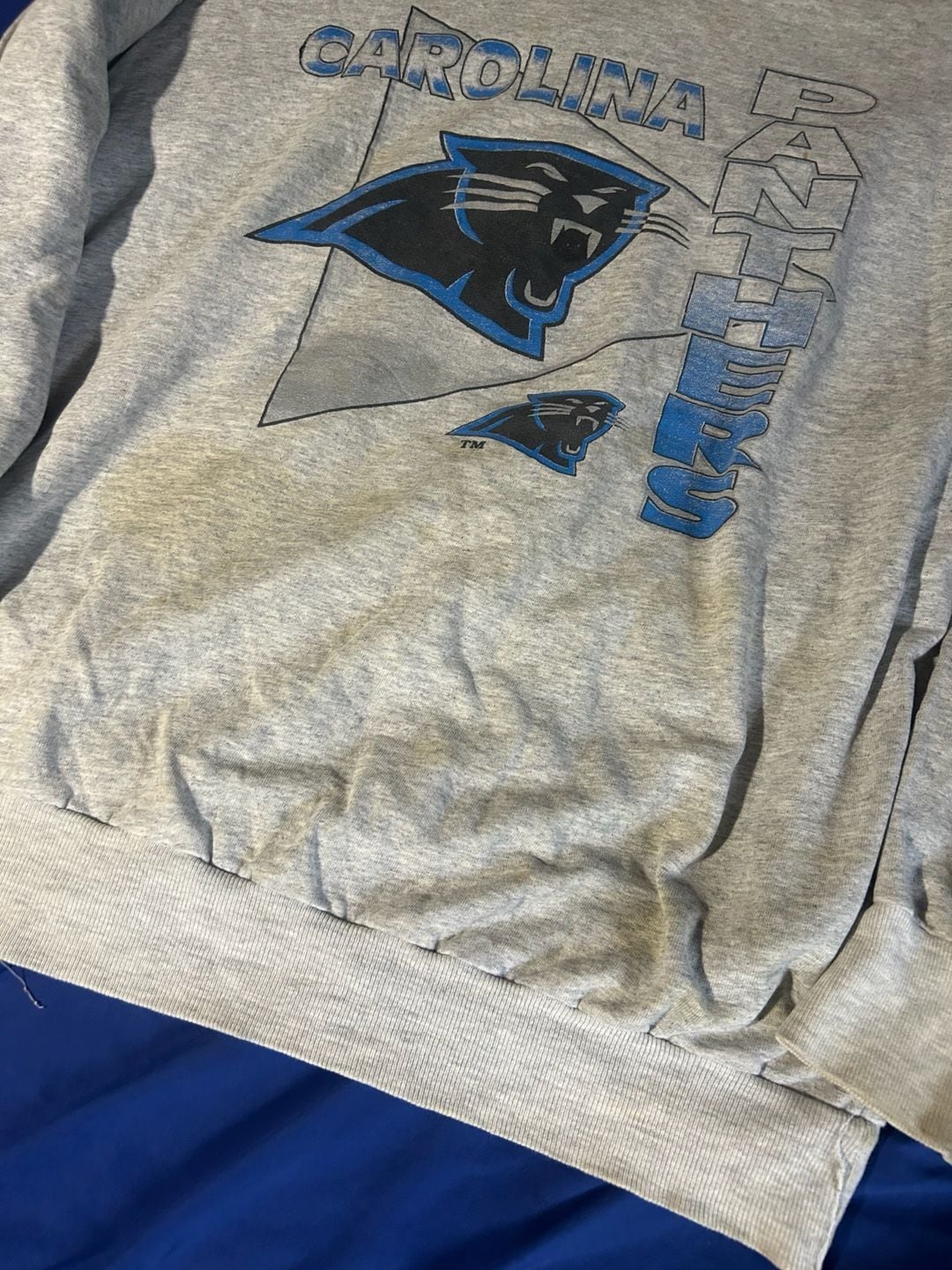 Vintage CAROLINA PANTHERS NFL Sweatshirt Size L 7