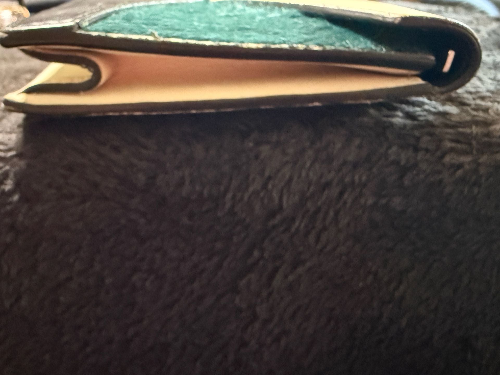 Celine Multicolor Calfskin & Haircalf Envelope Wallet 7