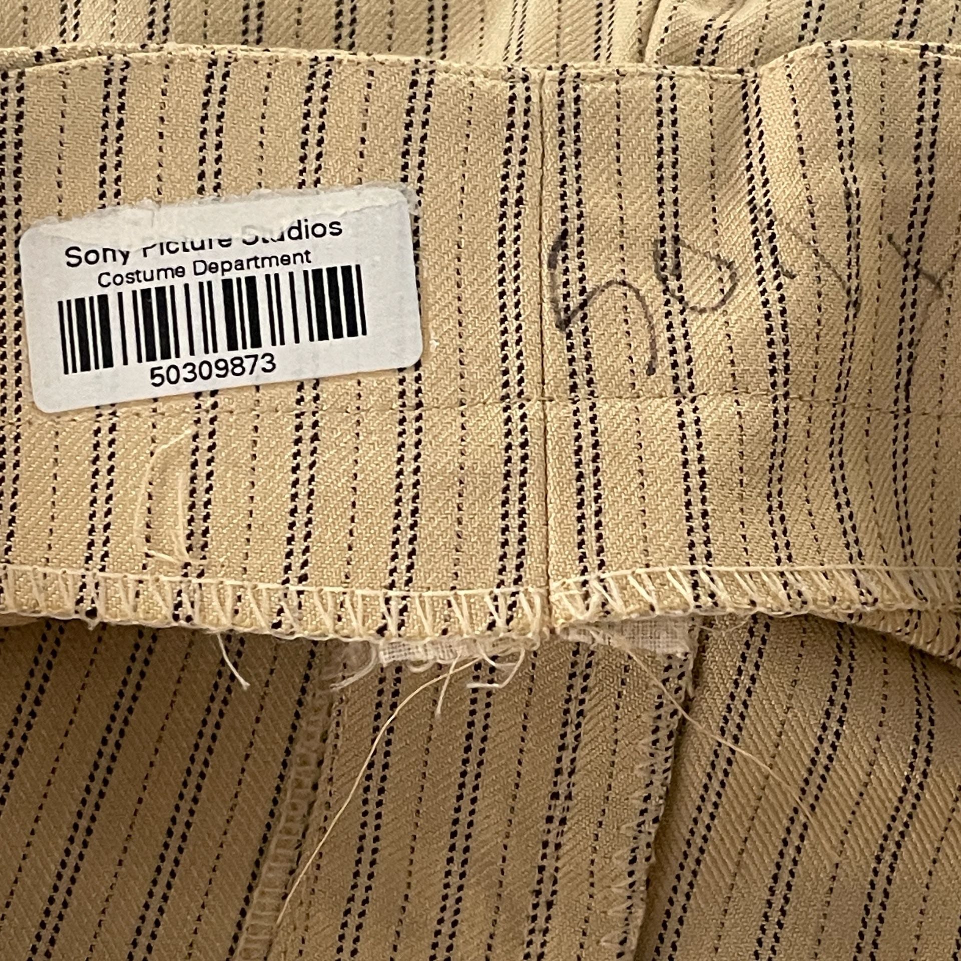 Pinstripe Pleated Wide Leg Pants Tan Black 6