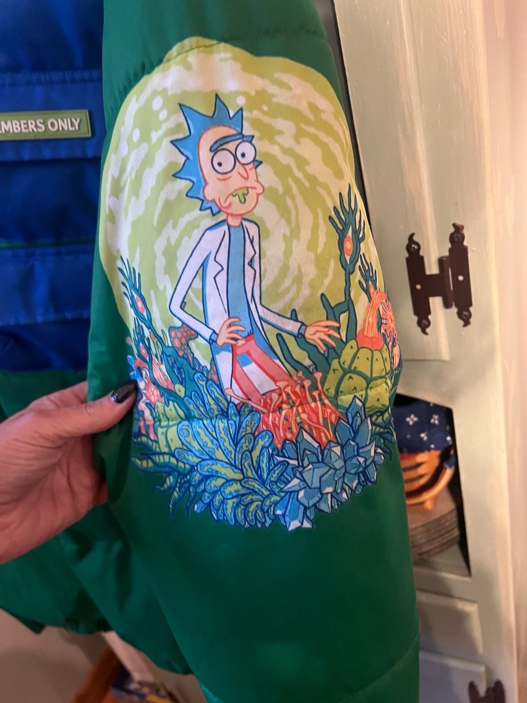 Members Only Rick And Morty Color Block Green and Blue Puffer Jacket Large 5