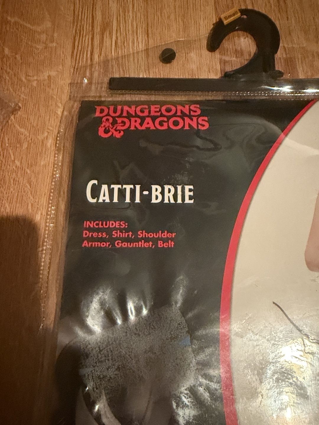 Spirit Halloween Dungeons & Dragons Catti-Brie Costume Size Small 4-6 2