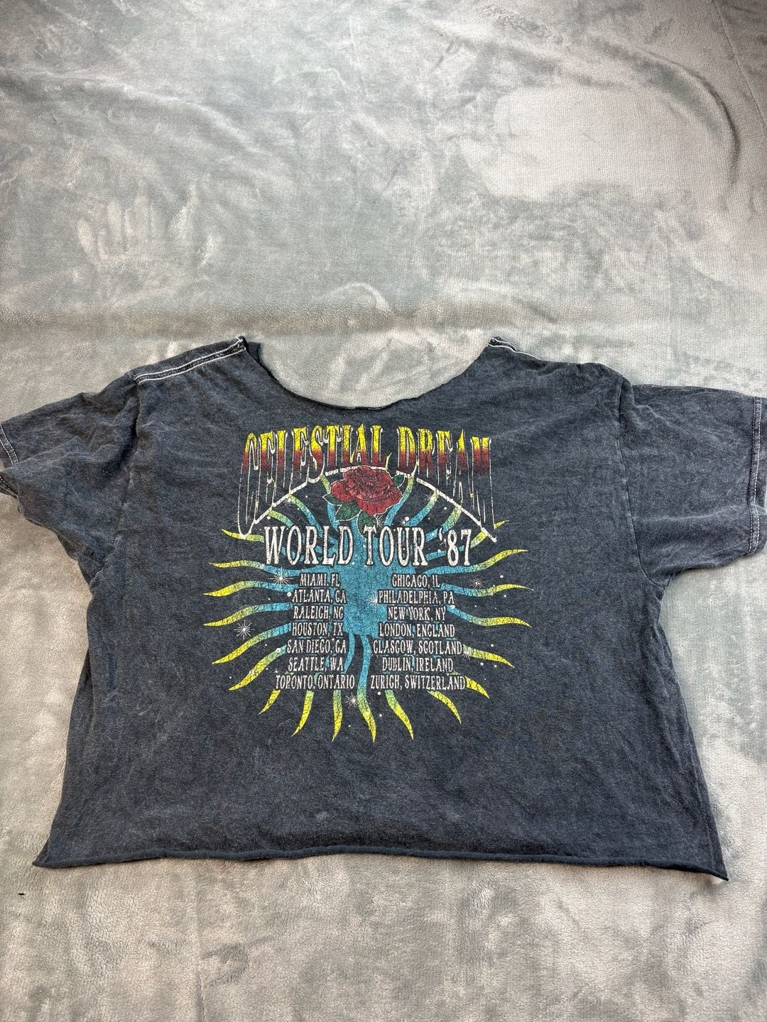 Celestial Dream World Tour 87 Rose Graphic Crop Top Acid Wash Rock Tee 5