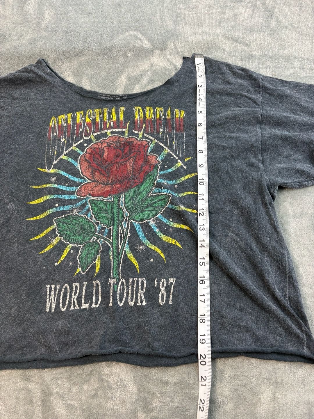 Celestial Dream World Tour 87 Rose Graphic Crop Top Acid Wash Rock Tee 6