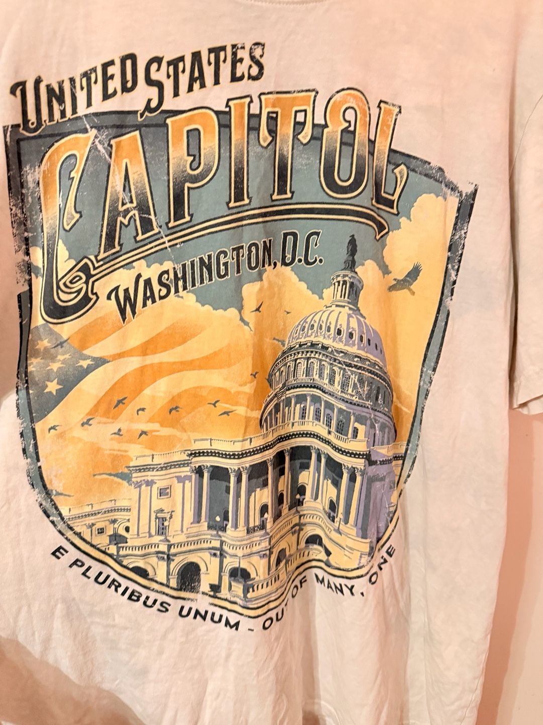 Big Vista United States Capitol Washington D.C. T-Shirt Size L 3