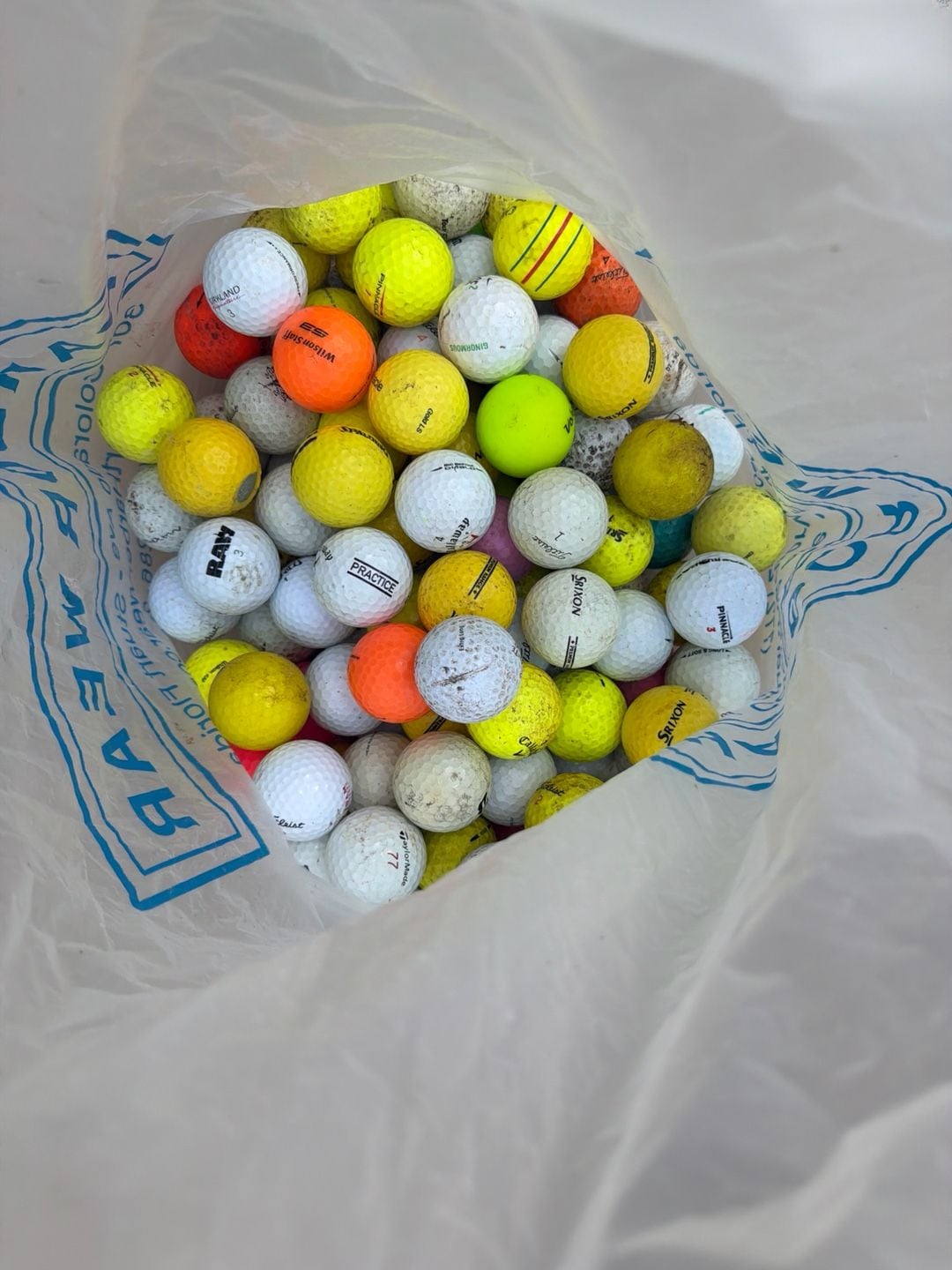 Assorted Mixed Brand Used Golf Balls Lot Titleist, Srixon, Callaway, TaylorMade 1