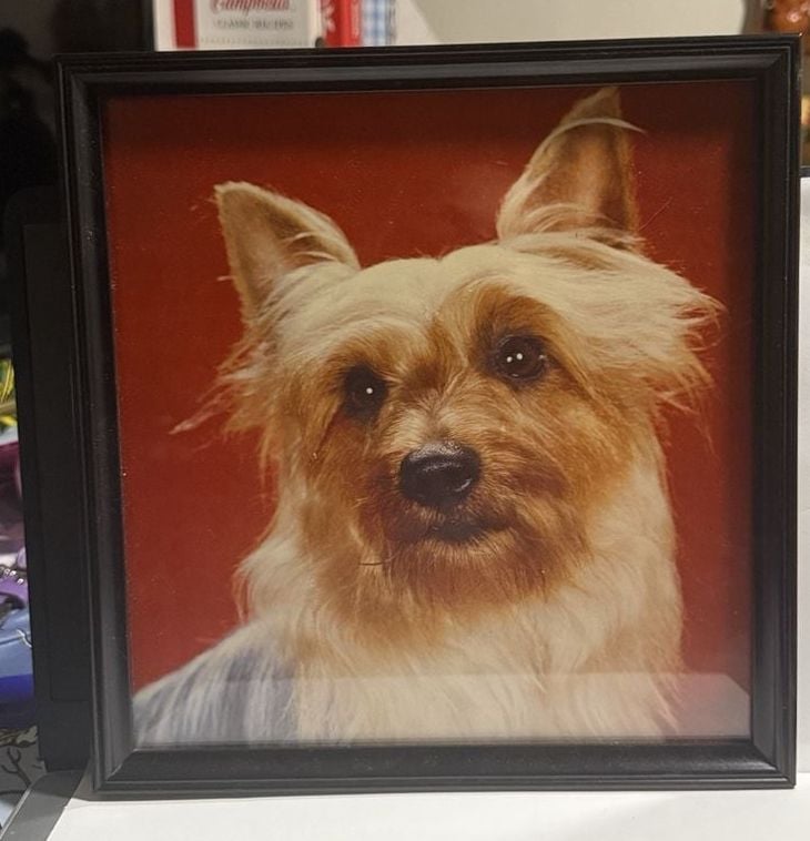 Vintage 1970s Terrier Dog Portrait Framed - Mid Century Vernacular Art Kitsch Decor 1