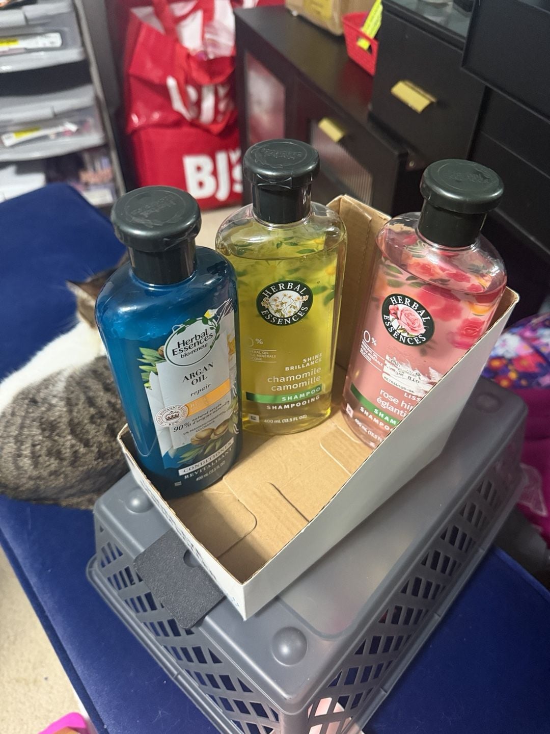 Herbal Essences Argan Oil Chamomile Rose Hips Shampoo Lot of 3 1