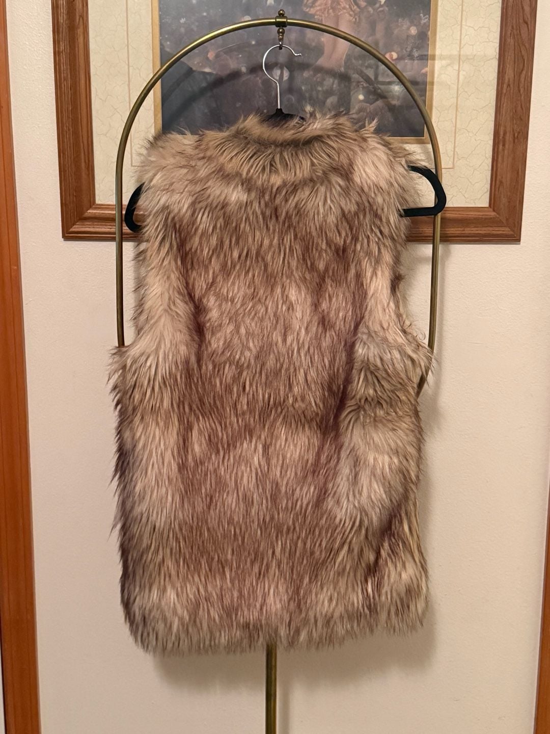 PPLA Faux Fur Vest 6