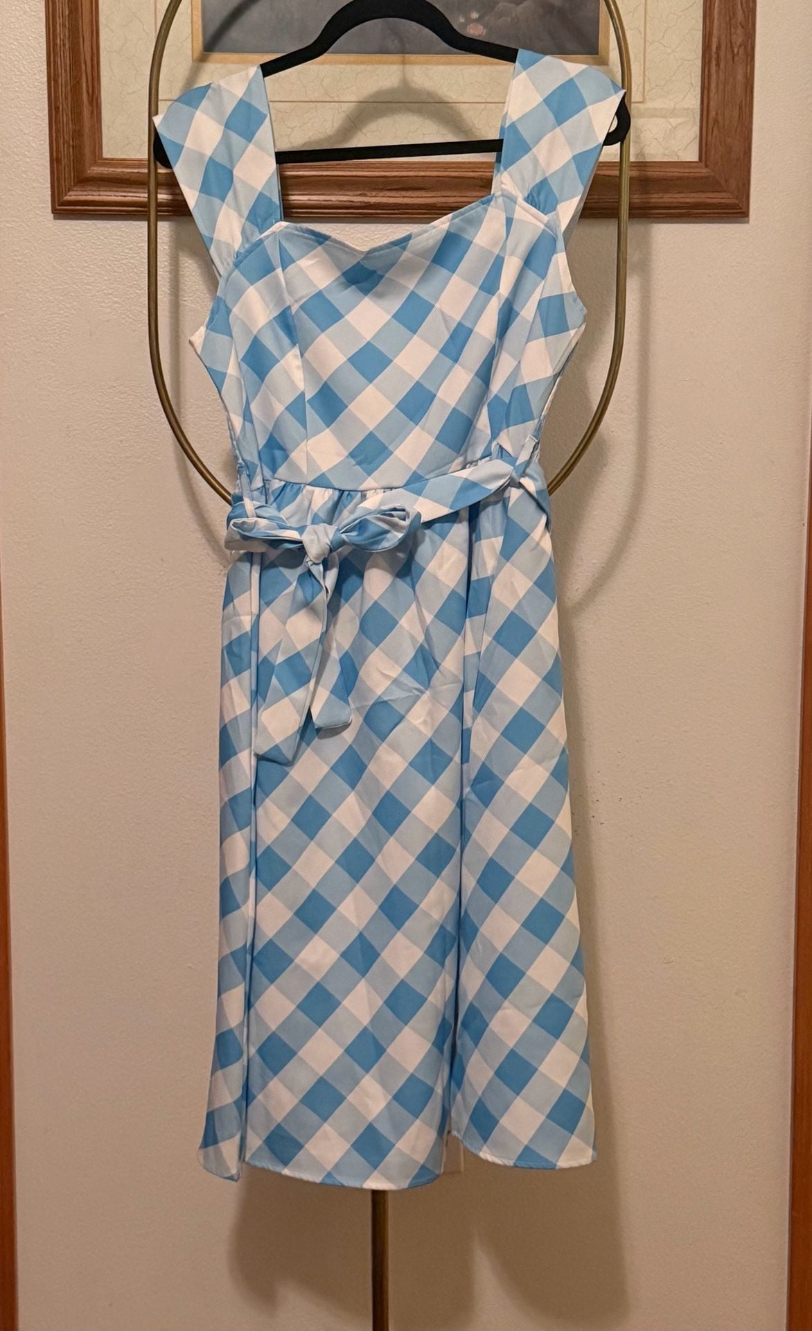 Blue Gingham Midi Dress 2