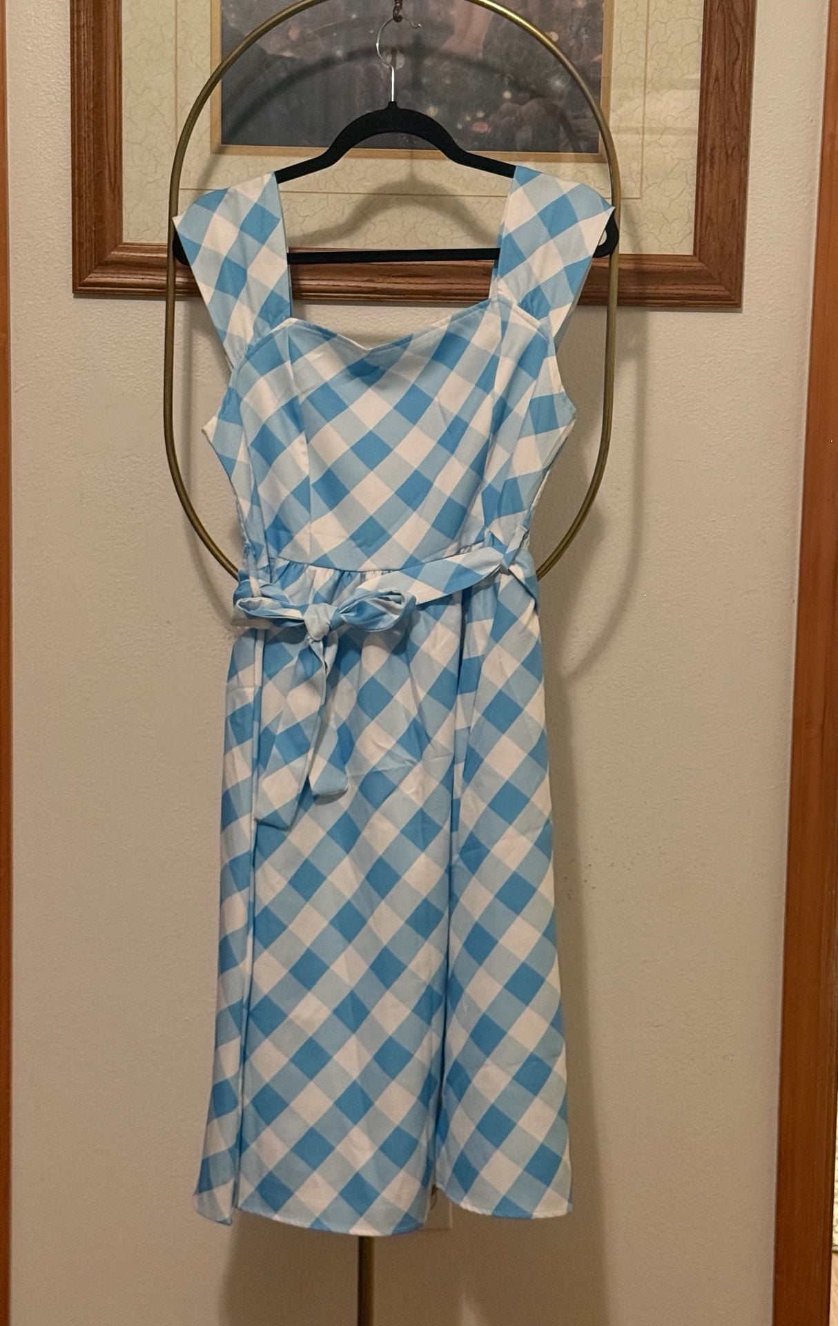 Blue Gingham Midi Dress 3