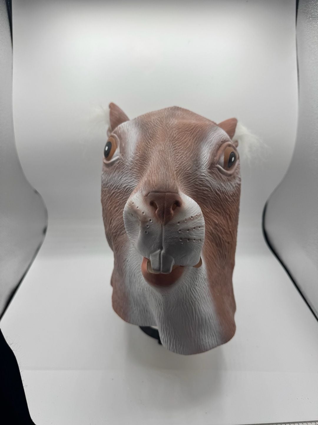 Novelty Squirrel Latex Animal Mask 1