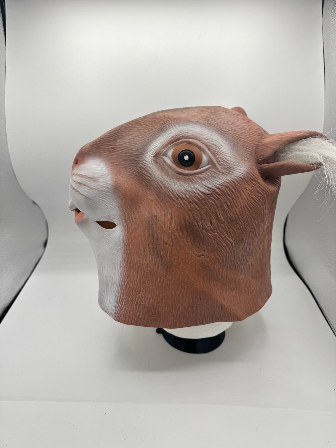 Novelty Squirrel Latex Animal Mask 2