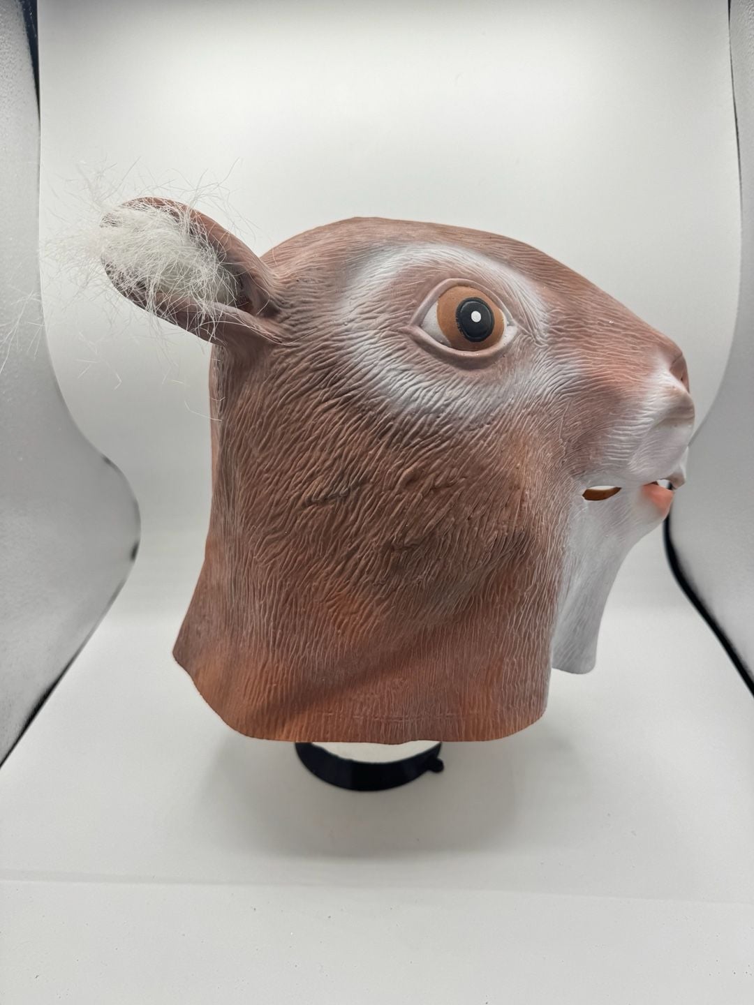 Novelty Squirrel Latex Animal Mask 4