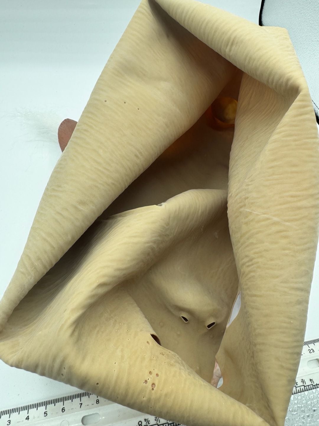 Novelty Squirrel Latex Animal Mask 5