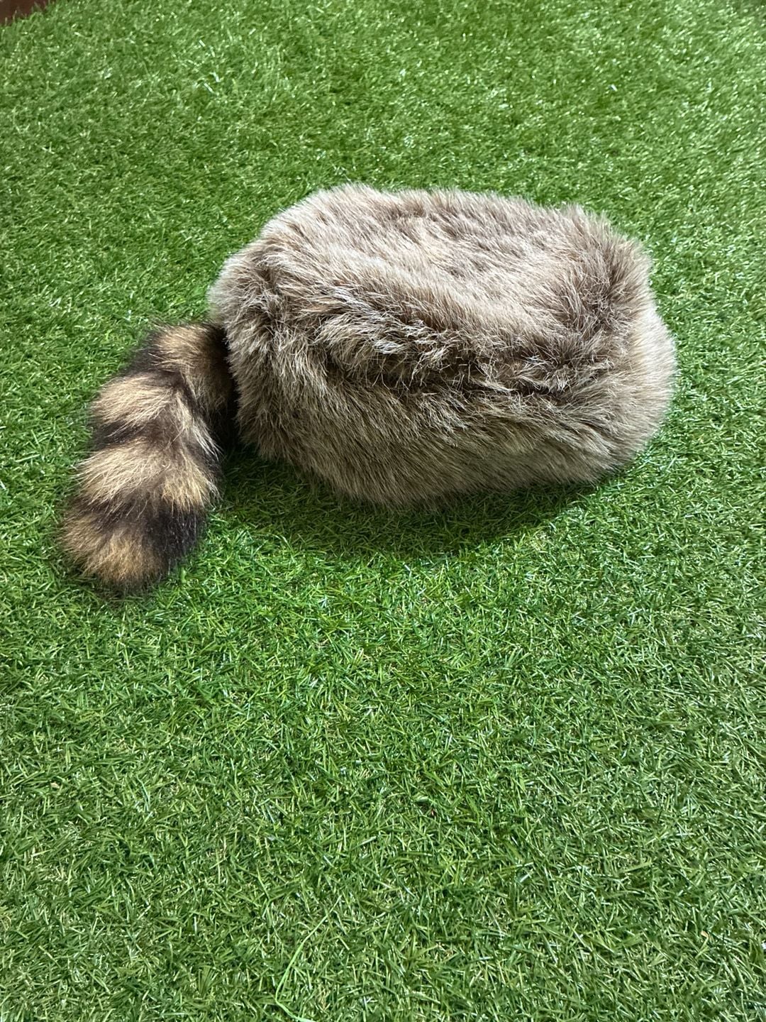 Raccoon hat 1