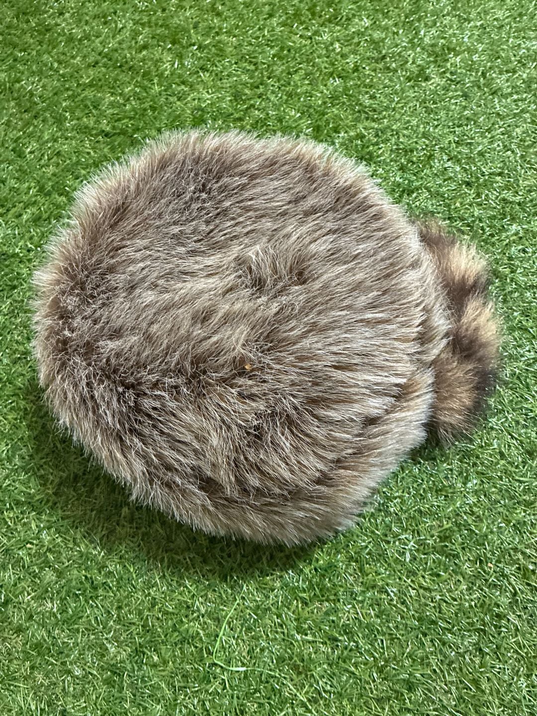 Raccoon hat 2
