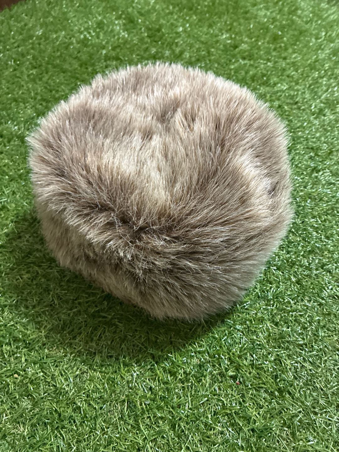Raccoon hat 3