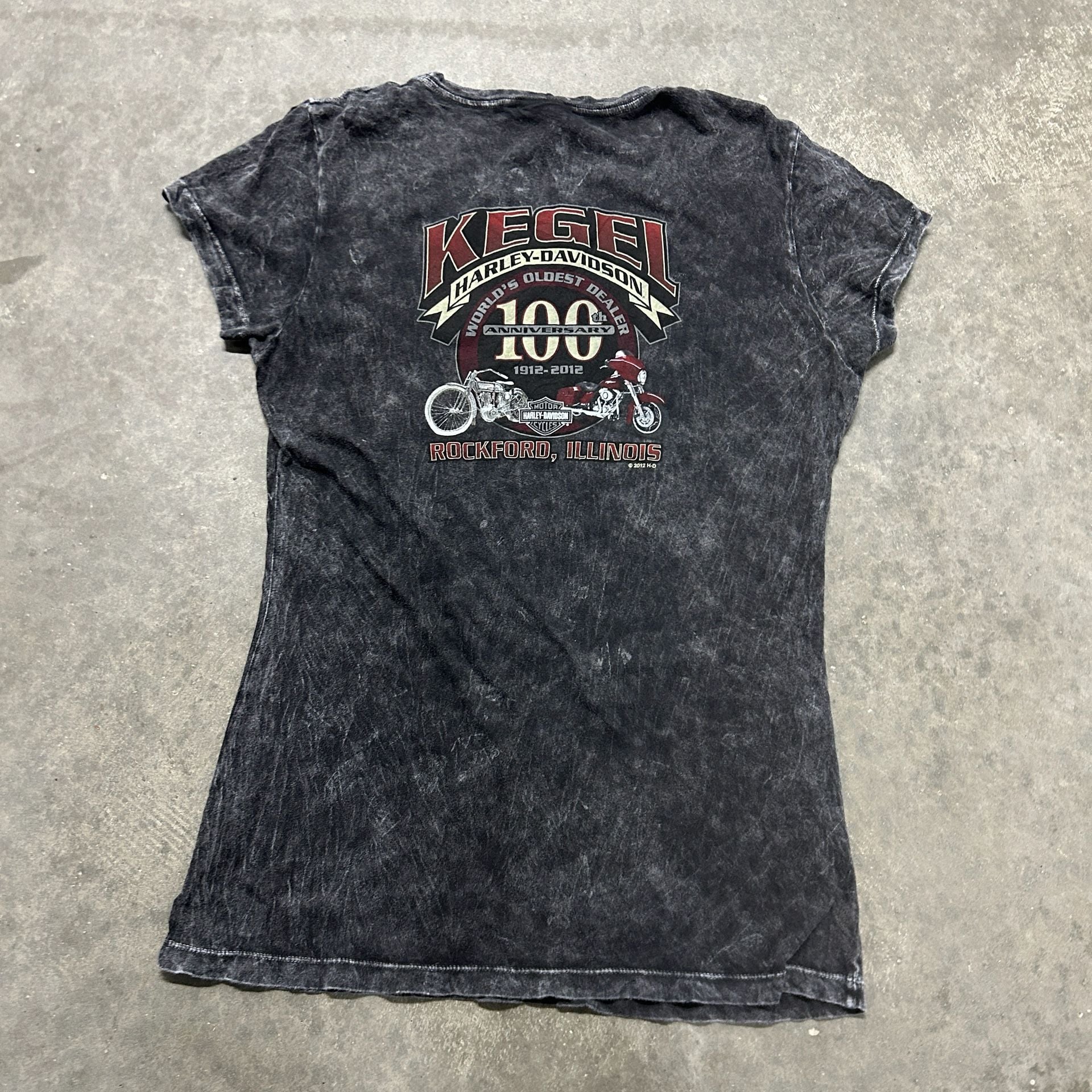 Harley-Davidson Graphic Mineral Wash T-Shirt 3