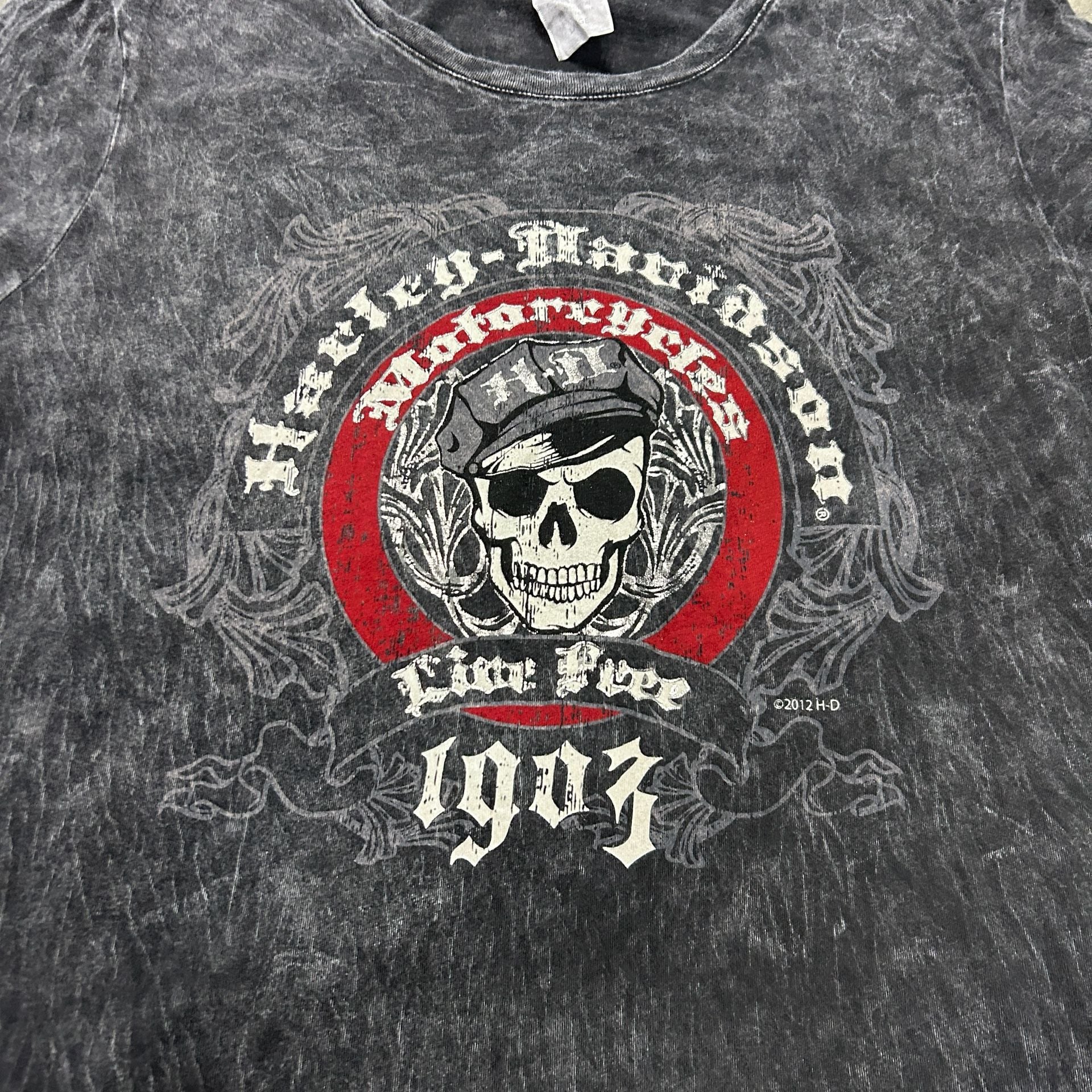 Harley-Davidson Graphic Mineral Wash T-Shirt 5