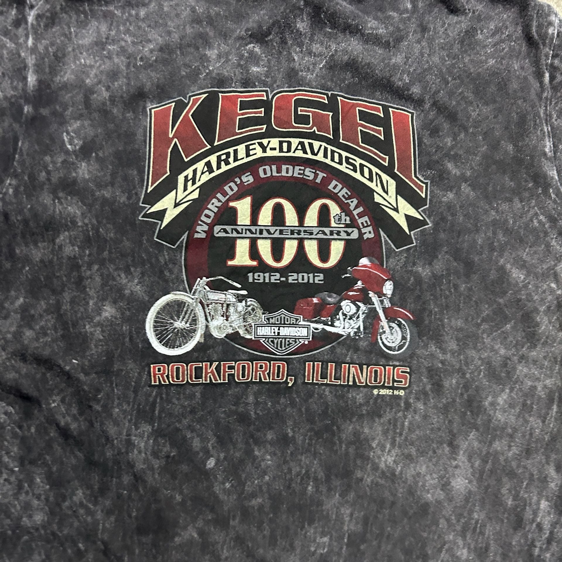 Harley-Davidson Graphic Mineral Wash T-Shirt 6